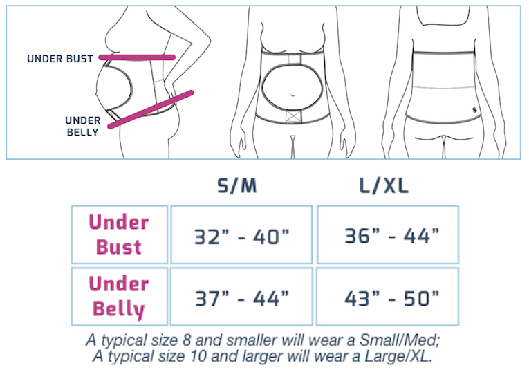 Pregnancy Bump Size Chart